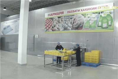 Tajikistan Slaughter ak Processing Atelye Depo Fwad