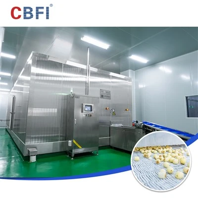 CBFI doub espiral frizè, louvri yon nouvo chapit nan gwo -Kwasans efikasite pou antrepriz manje nan frizè